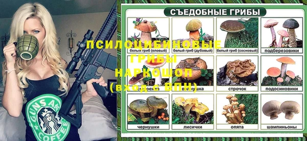 сатива Елабуга