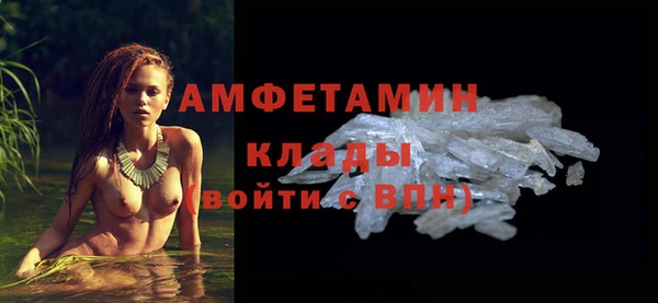 молекула духа Заволжье