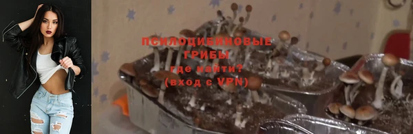 сатива Елабуга