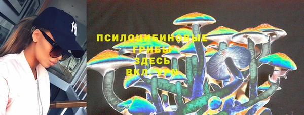 сатива Елабуга