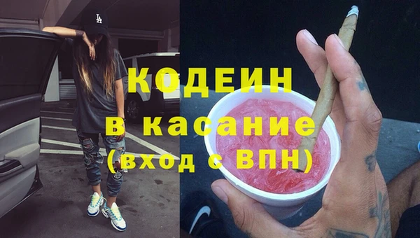 сатива Елабуга